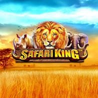 Safari King game screenshot