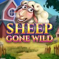 Sheep Gone Wild game screenshot